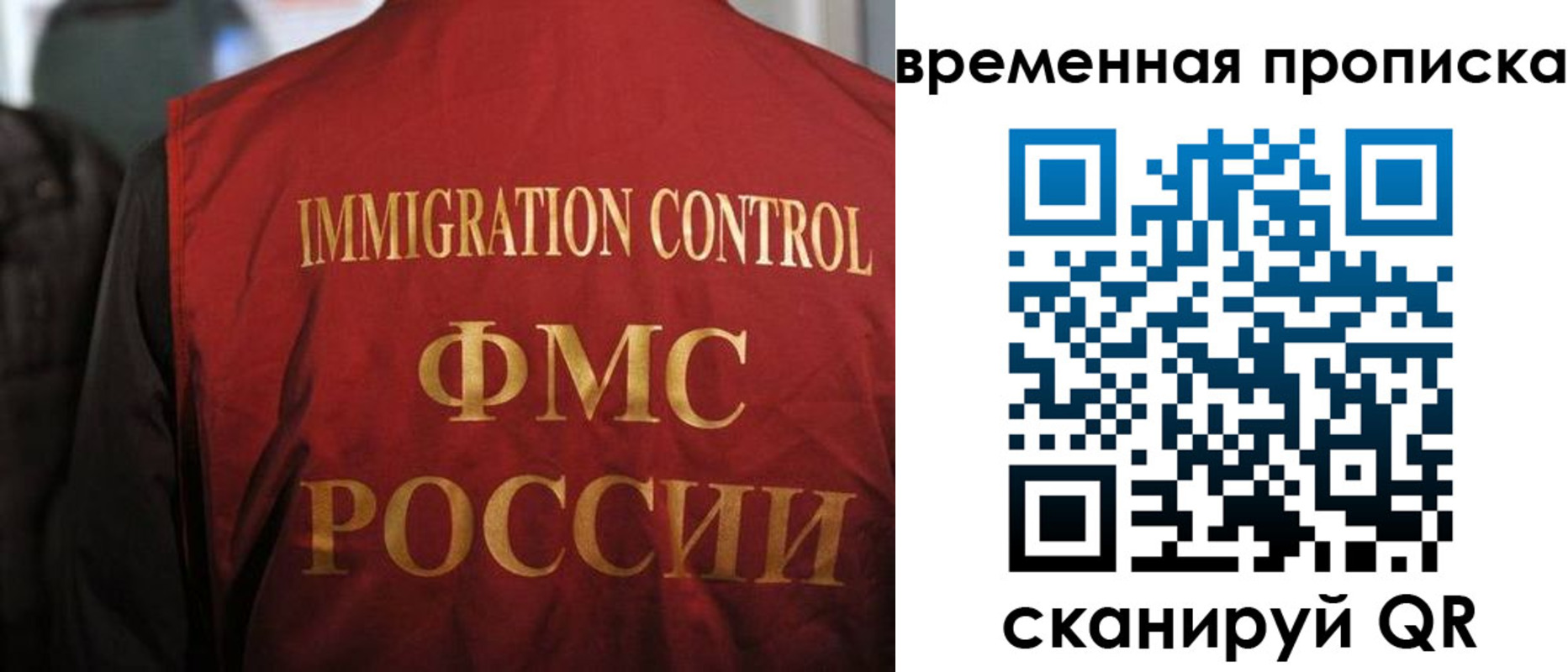 форма 3 в Курганской области